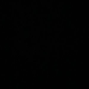 Meet your Posher, Ella